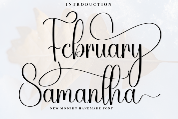 Elevate Your Brand with the February Samantha Typeface