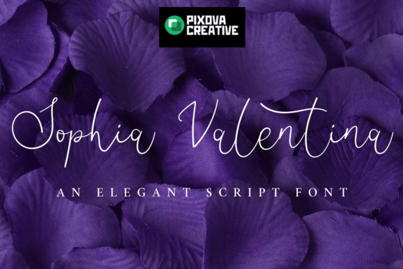 Sophia Valentina: A Designer's Review for Branding