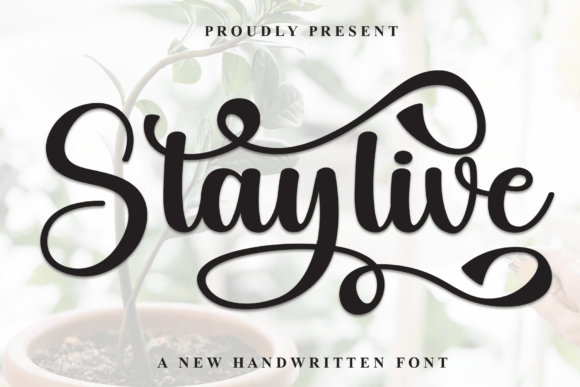 Staylive: A Handwritten Font for Authentic Brand Identity