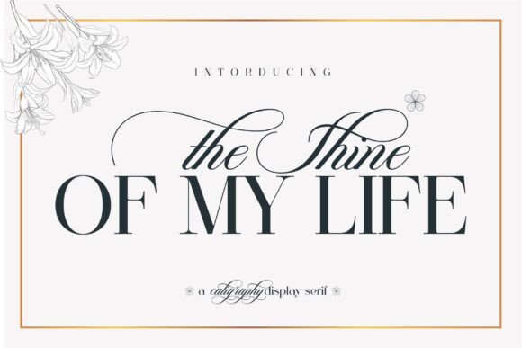 The Shine of My Life Font